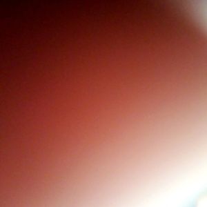 Meet your Posher, Ben